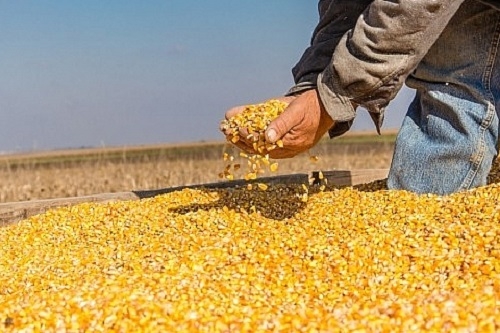 Nhập khẩu nhiều mặt hàng nông sản cán mốc tỷ USD ngay trong quý I