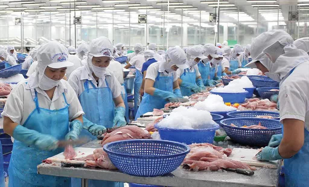 Những tín hiệu thị trường và triển vọng xuất khẩu cá tra của Việt Nam năm 2026. 