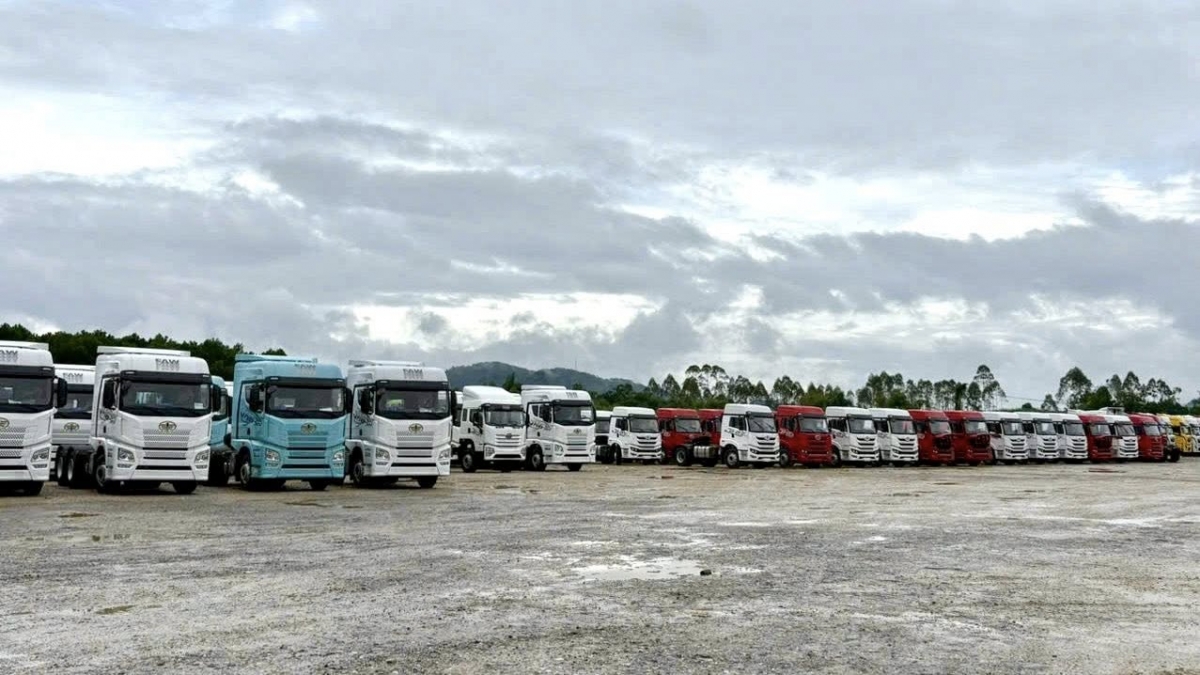 Nửa đầu tháng 1/2026 nhập khẩu hơn 5.500 ô tô