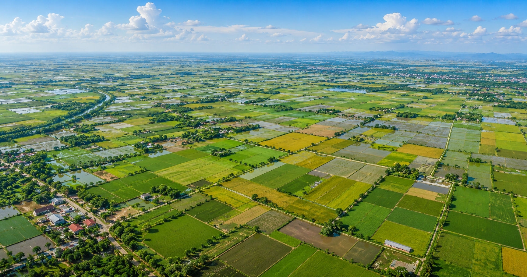 Bộ Tài chính làm rõ thẩm quyền ban hành mẫu thông báo thu tiền đất trồng lúa