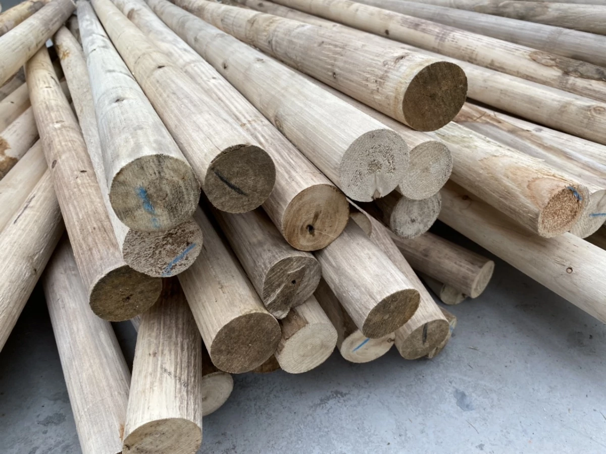 Gỗ sơ chế thông thường không chịu thuế GTGT ở khâu sản xuất và nhập khẩu